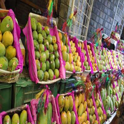 Mango Festival Sightseeing